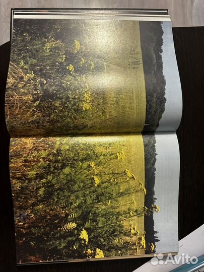 Поле славы 2 изд составитель калугин 1985г