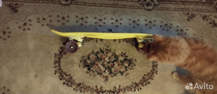 Скейтборд, пениборд детский
