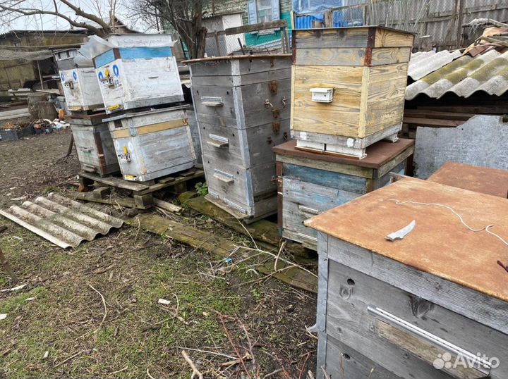 Улей для пчел