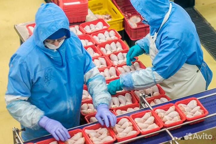 Оператор производственной линии.Вахта.Калуга