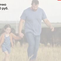 Сельскохозяйственное агентство в городе Нальчик, Нальчик