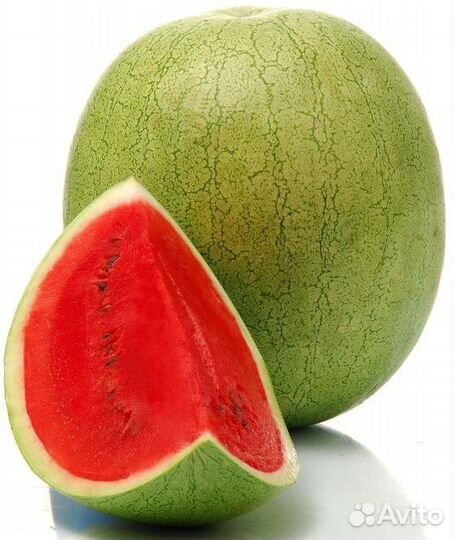 Семена Арбуза 