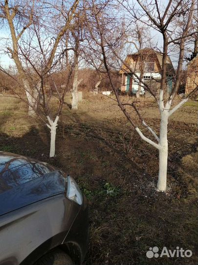 Услуги садовник