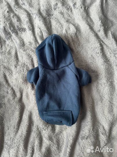 Одежда для маленьких собак