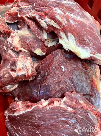 Котлетное мясо 1 сорт 80/20. Говядина