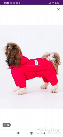 Дождевик для собаки
