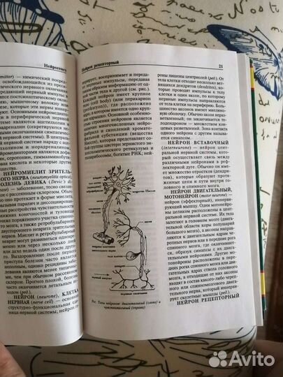 Большой толковый медицинский словарь