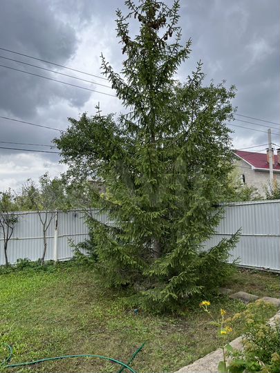 Дача 76,9 м² на участке 11 сот.