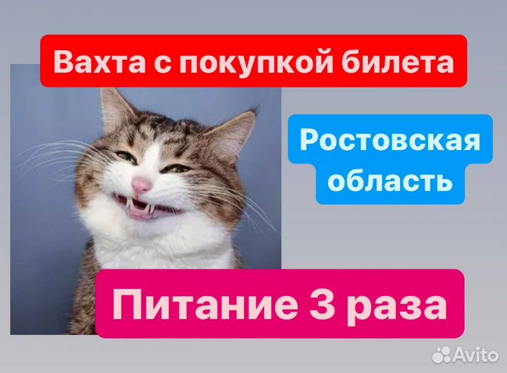 Работа вахтой сортировщиками.Купим билет