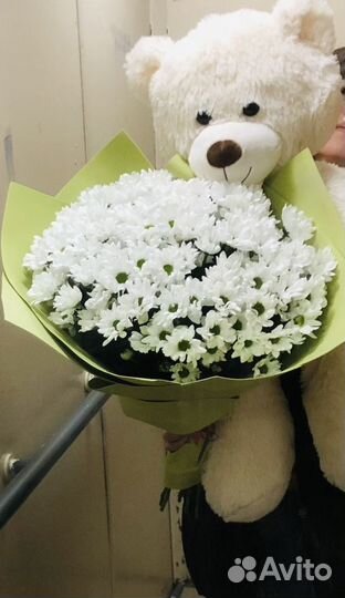 Хризантемы,Букеты, цветы, игрушки, доставка