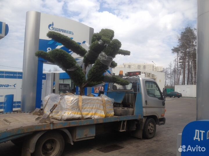Эвакуатор 24 часа
