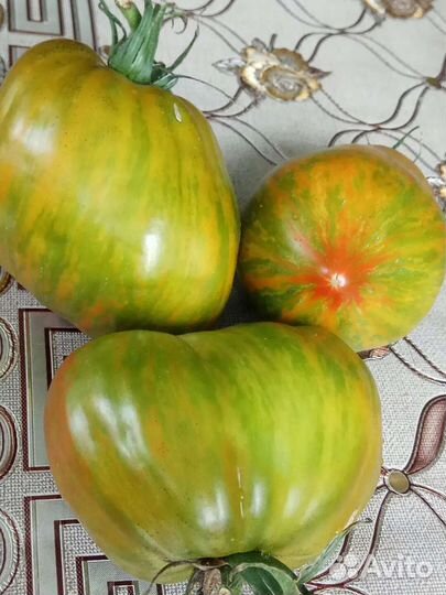 Семена коллекционных томатов