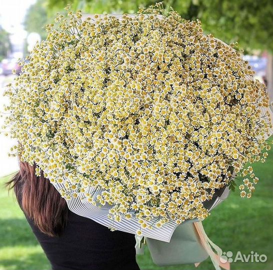 Ромашки Букет из ромашек доставка