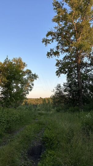 Участок 9 сот. (СНТ, ДНП)