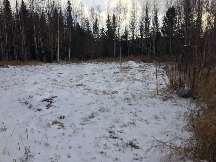 Участок 7 сот. (СНТ, ДНП)