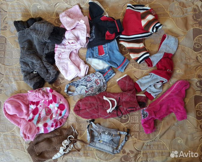 Одежда и обувь для маленьких собак