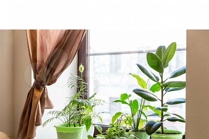 Комната 30 м², 1/4 эт.