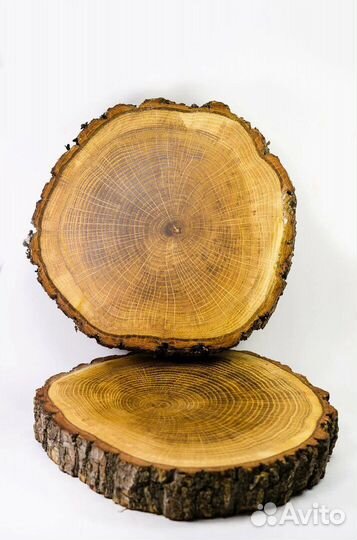 Панно из спилов дерева, спилы дерева