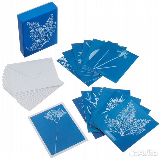 Набор открыток Sunprint Notecards