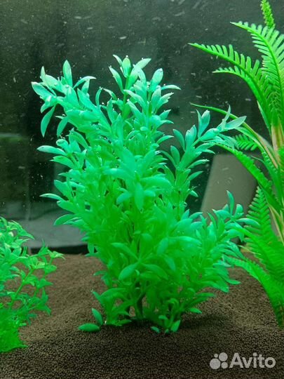 Искусственные растения для аквариума