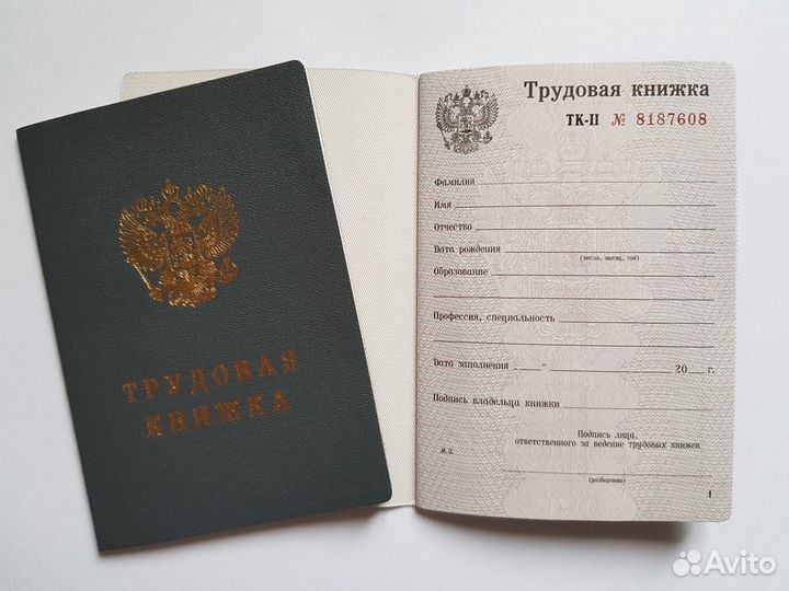 Трудовая книжка серии тк-II, 2008-2009 годы