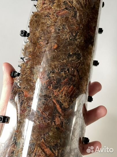 Опора для растений