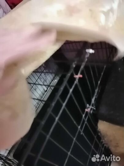 Клетка вольер
