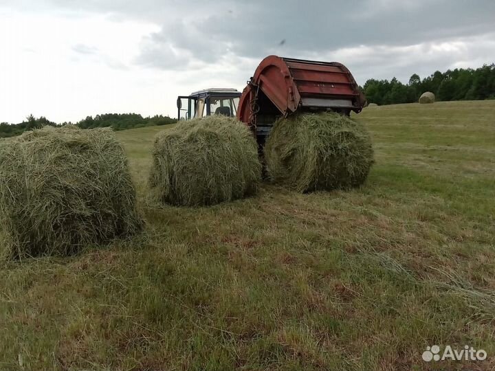 Сено солома в рулонах