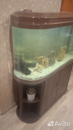 Аквариум jetwin