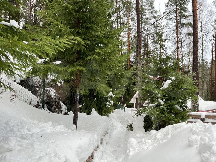 Дом 65 м² на участке 50 сот.