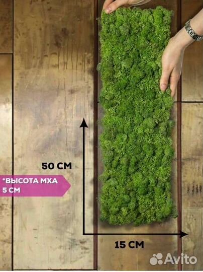 Панель из стабилизированного мха