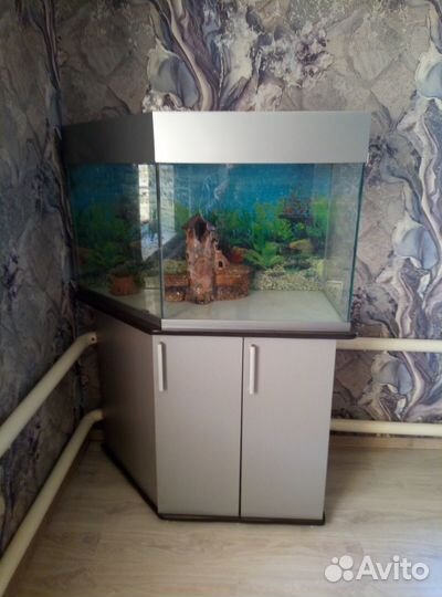 Аквариум 150л с тумбой
