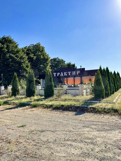 Общепит, 280.8 м²