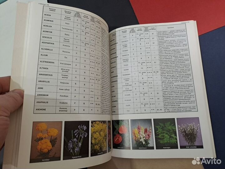 Хессайон Все об Аранжировке Цветов 1997 Кладезъ