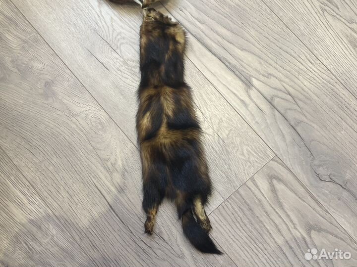 Шкурка хорька