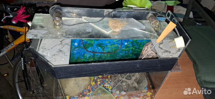 Аквариум