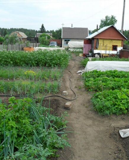 Участок 6,2 сот. (СНТ, ДНП)