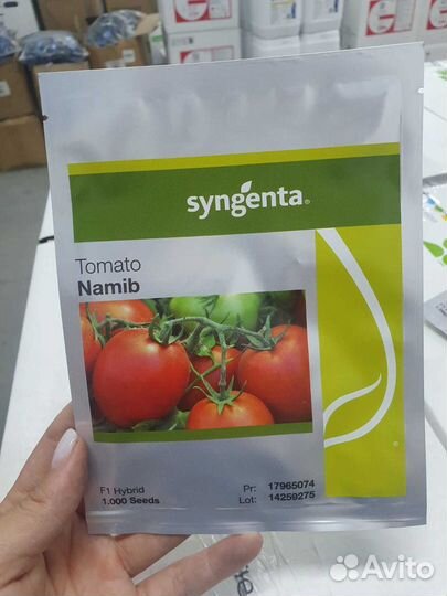 Семена томат Намиб 1 000с Сингента