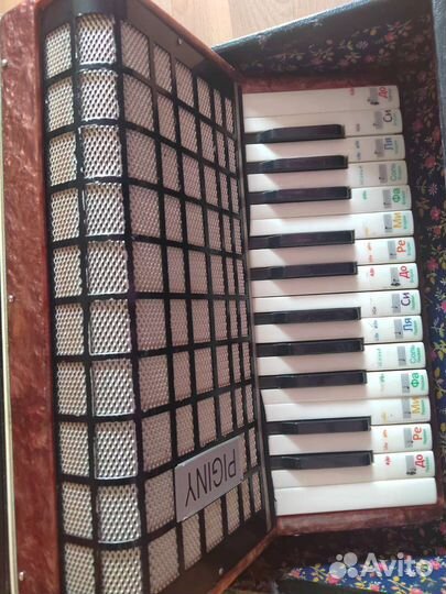 Аккордеон 1/2