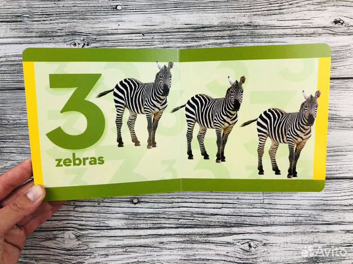 National Geographic Kids,английские книги