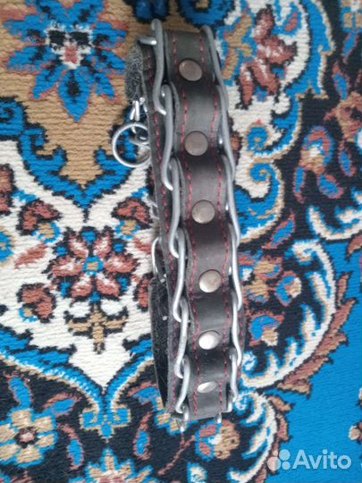 Строгий ошейник для собак