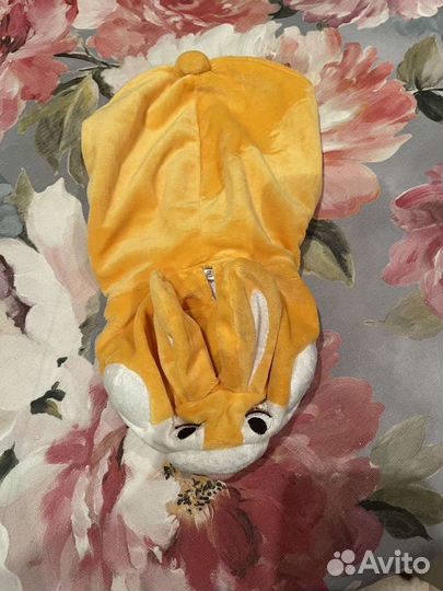 Костюм для йорка