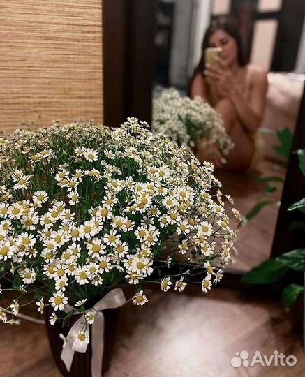 Ромашки Букет из ромашек доставка
