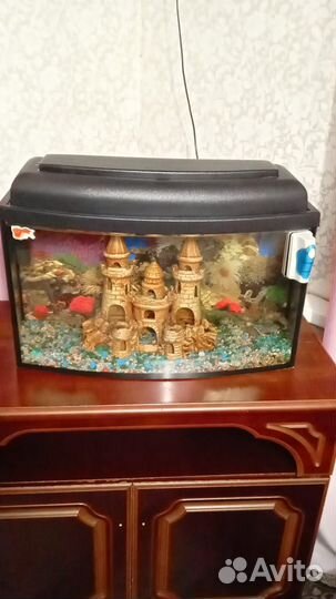 Аквариум