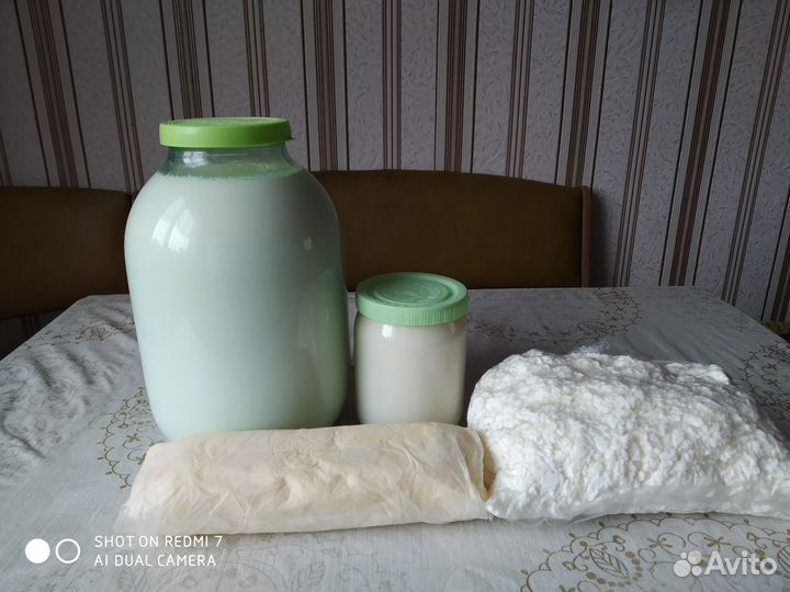 Молоко, сыр, масло,сливки,творог