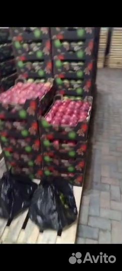 Яблоки оптом. Высшего сорта