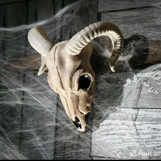 Череп декор/хеллоуин/бар/квест/комната страха