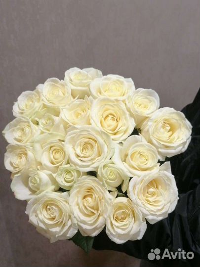 Роза белая. Букеты из 15,25,31,51, 101 розы