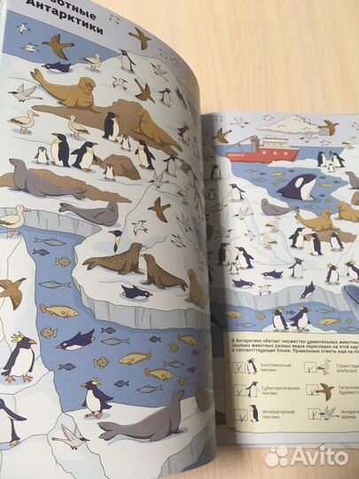 Полюса земли Таинственные центры притяжения