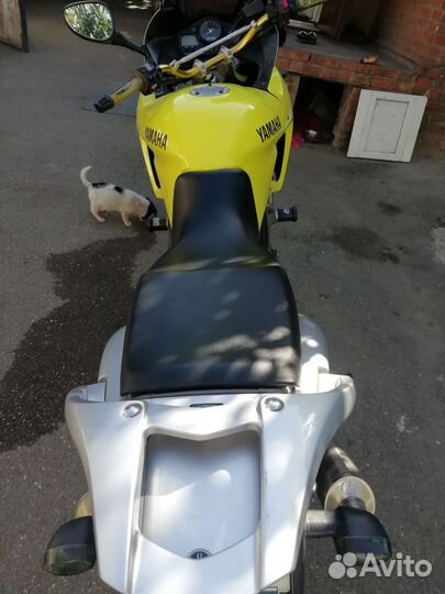 Yamaha TDM 900